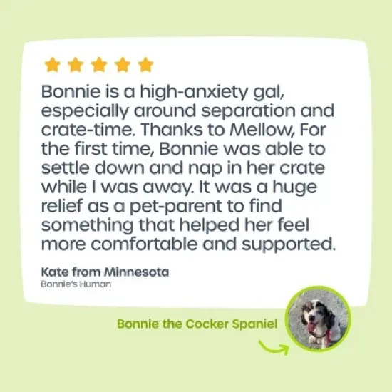 PetFriendly Calming Diffuser for Dogs image {2}