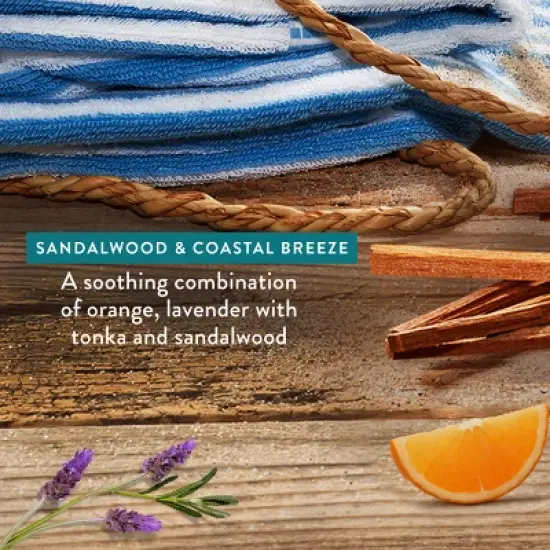 Native Limited Edition Fall Getaway Deodorant - Sandalwood & Coastal Breeze - 2.65oz image {2}