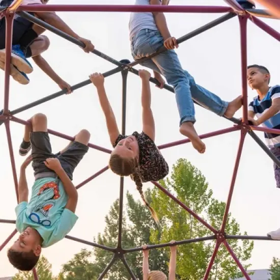 Lifetime 66-Inch Climbing Dome image {5}