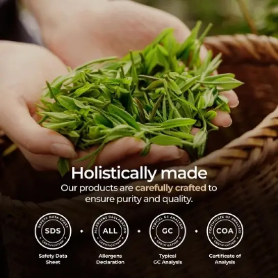 Gya Labs Organic Tea Tree Essential Oil, Organic Tea Tree Oil - Refreshing Aromatherapy, 0.34 Fl Oz image {4}