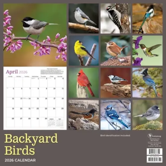 TF Publishing 13.5"x14.5" 2026 Backyard Birds Wall Calendar image {4}