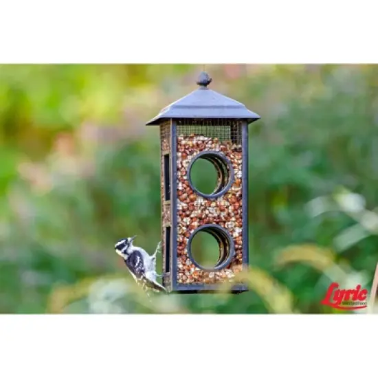 Lyric 20lb Delite Shell-Free Nuts & Seeds No Waste Wild Bird Food: Attracts Songbirds, For Patios & Gardens image {8}