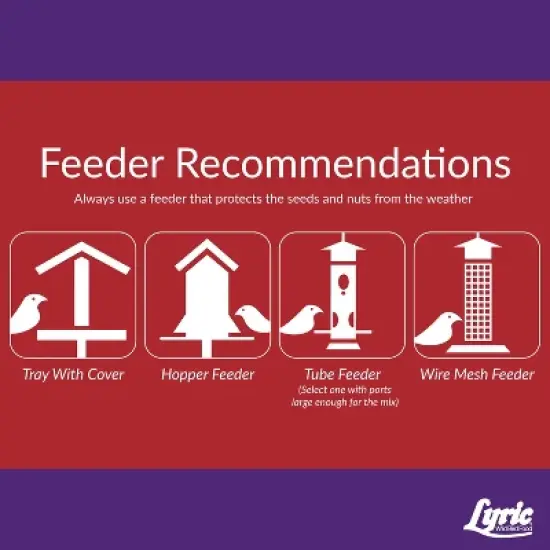 Lyric 20lb Delite Shell-Free Nuts & Seeds No Waste Wild Bird Food: Attracts Songbirds, For Patios & Gardens image {4}