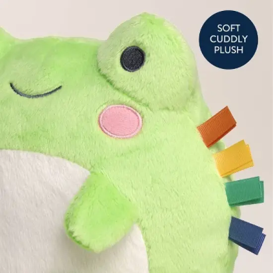 Itzy Ritzy Sweetie Snuggles Plush Stuffed Animal - Frog image {4}