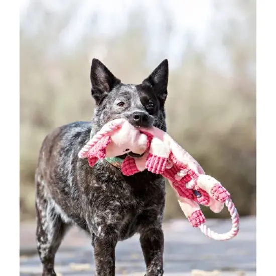 Charming Pet Ropes-A-Go Gator Dog Toy image {2}