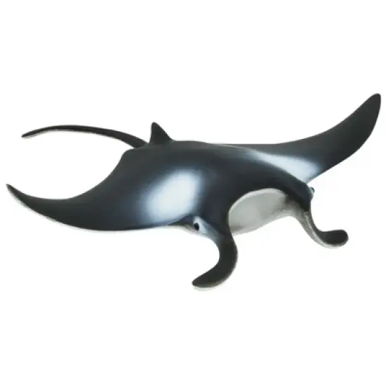 Kaplan Early Learning Animals of the Sea  - Set of 11 image {4}