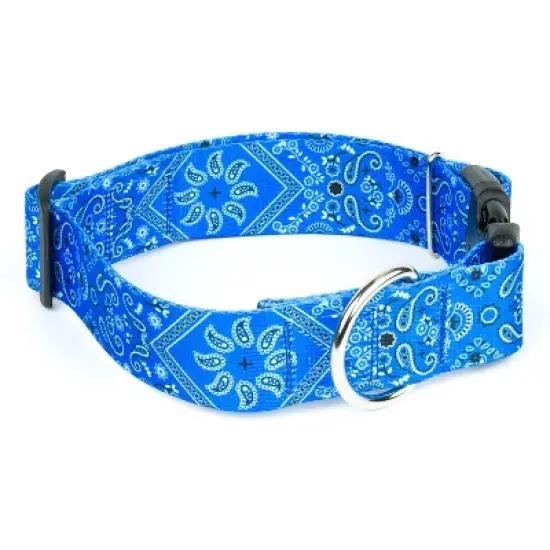Country Brook Petz HossFit Jr Wide Deluxe Dog Collar - Country and Western Collection image {4}