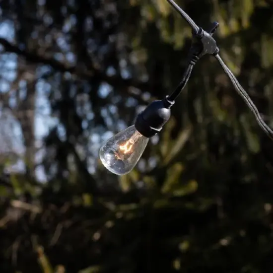 LumaBase Electric Commercial-Grade String Lights with 12 Edison Bulbs image {8}