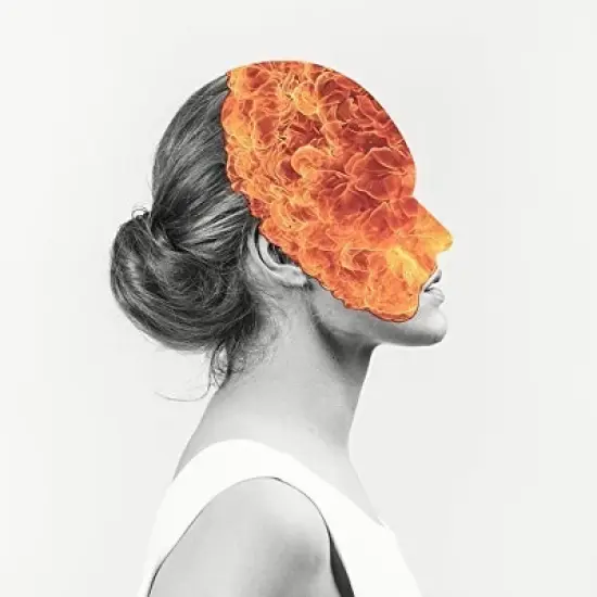 Agent Fresco - Destrier (CD) image {1}