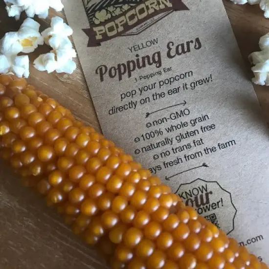 Free Day Popping Ear Non-GMO Yellow Un-Popped Popcorn - Pack of 6 - Popcorn on the Cob image {5}