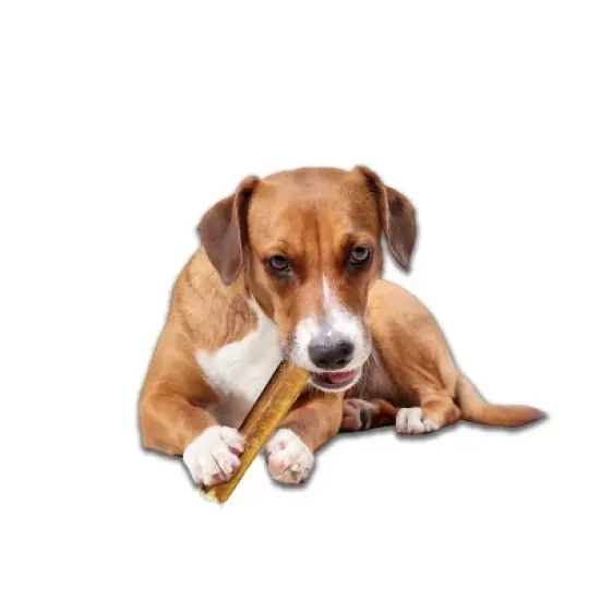 Rewardables 4" to 6" Bull Stick Beef Flavored Dog Treat - 6.5oz image {3}