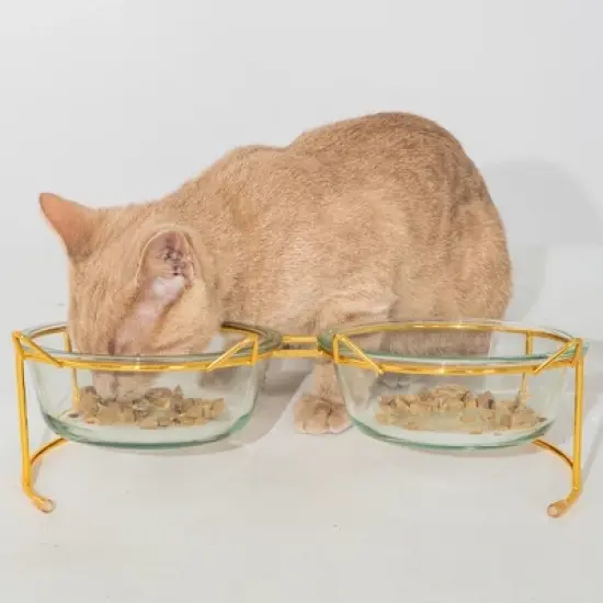 Dexypaws: 2 Piece Elevated Glass Bowl Set For Cats -Two 11.8oz Bowls image {1}