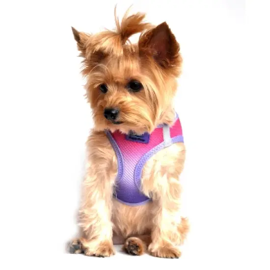 Doggie Design American River Choke Free Dog Harness Ombre Collection-Raspberry Sundae image {3}