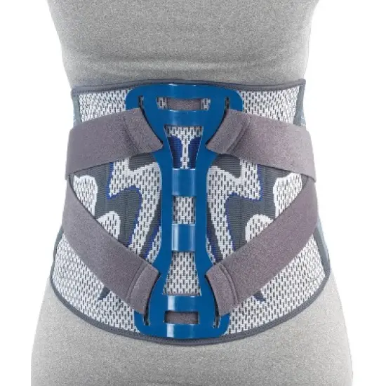 OTC Lumbosacral Back Splint, Theratex Spinal Maximum Support image {4}