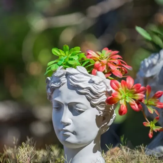 DSVIMOY Greek Style Cement Head Planter, Indoor Outdoor Home Garden Decor, Modern Design for Indoor and Outdoor Spaces, Gray, 7.3"*10.6"*6.9" image {4}