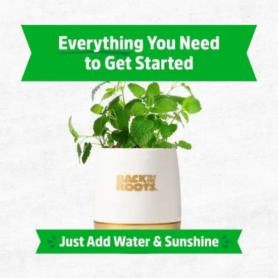 Back to the Roots Organic Lemon Balm Wellness Planter Grow Kit with Pot Soil and Seeds image {2}