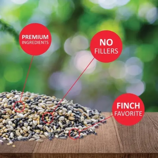 Lyric Finch - Small Songbird Wild Bird Seed for Outside Feeders, Attracts Goldfinches, House Finches & More, 5 lb Bag image {2}