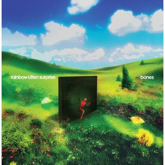 Rainbow Kitten Surprise - bones     (Black Vinyl) image {1}
