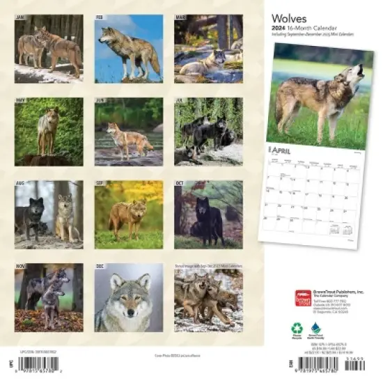 Browntrout 2024 Wall Calendar 12"x12" Wolves image {1}
