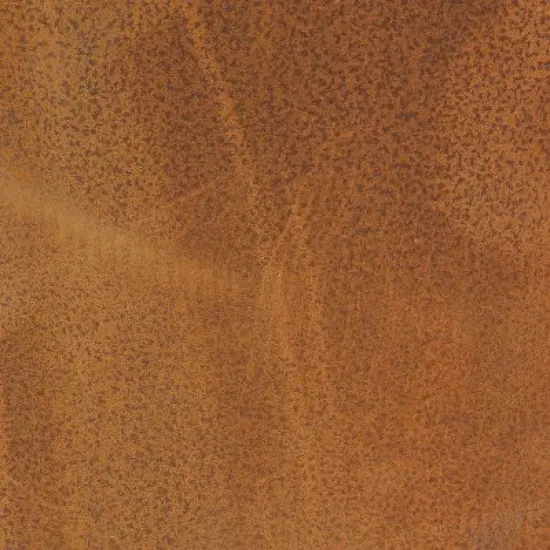 Sunnydaze Outdoor Camping or Backyard Round Cast Iron Rustic Fire Pit Bowl with Handles image {3}