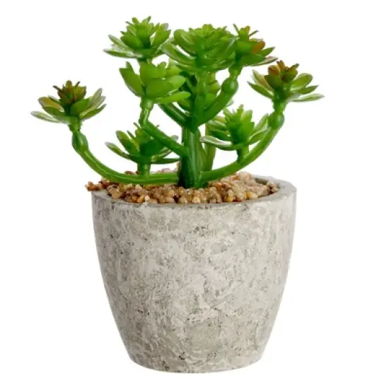 6 Pack Artificial Succulents, 2.7 to 4 inches Green and Red Cactus Plants with Gray Pots image {6}