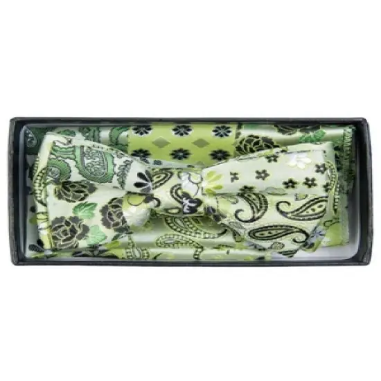 Young Boy's Fancy Pre-tied Adjustable Band Bow Tie With Hanky image {8}