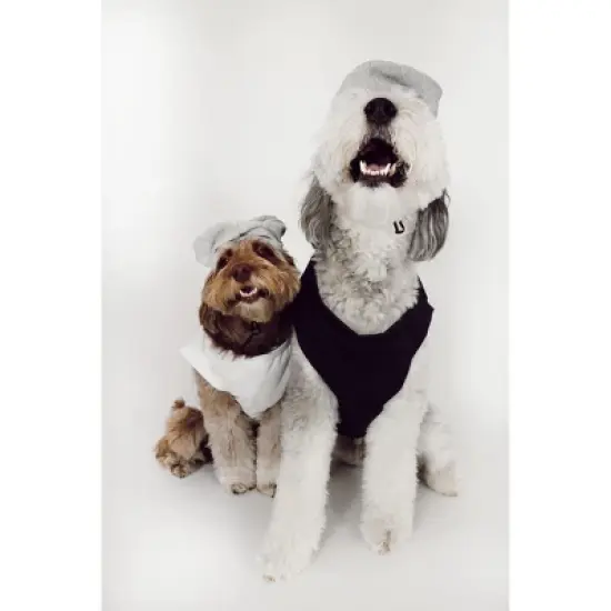 Midlee Salt & Pepper Dog Costume (Salt, X-Large) image {5}