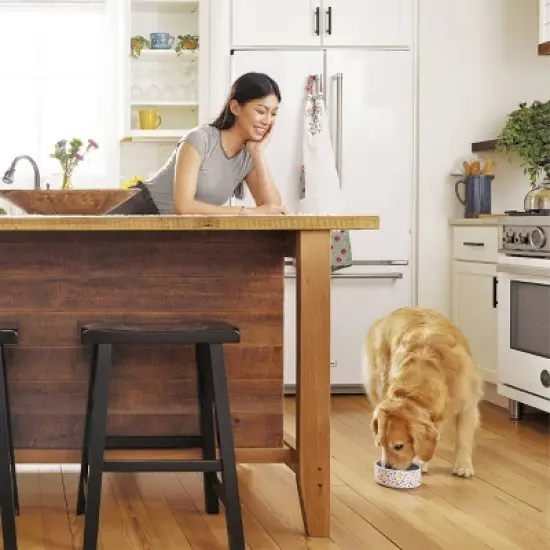  IAMS Proactive Health Minichunks Chicken & Whole Grains Recipe Adult Premium Dry Dog Food image {5}