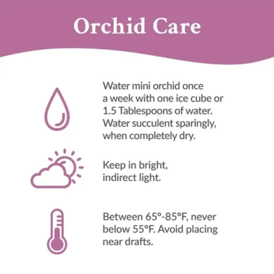 Green Circle Growers 4" Yellow Orchid and Succulent Houseplant Ceramic Planter image {3}