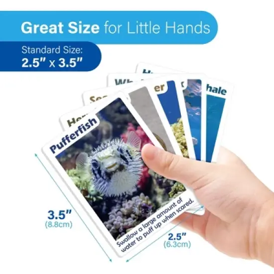 BenBen Go Fish Card Game for Kids, 104 Cards, Ocean Theme Memory Matching Game, Sea Animals Learning Playing Cards image {3}