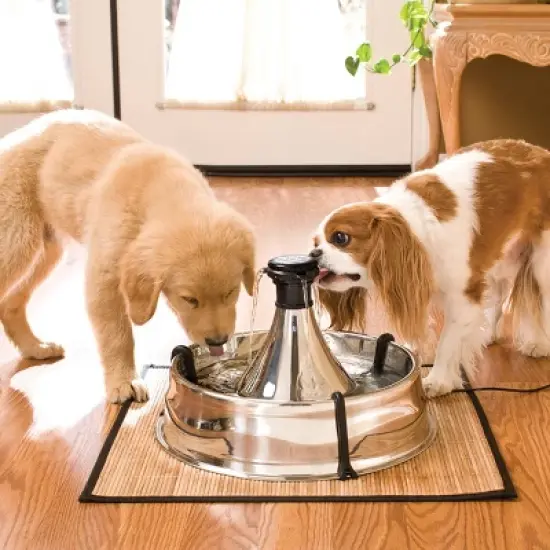 PetSafe Drinkwell Stainless Multi-Pet Fountain - Stainless Steel image {2}