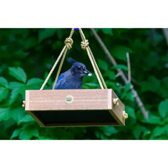 Bird Choice Small Modern Farmhouse Hanging Platform Tray Bird Feeder 2.5" Natural Teak Brown image {3}