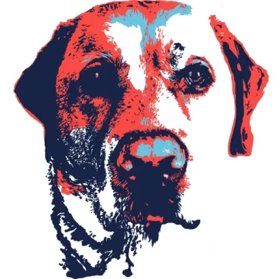 Men's Design By Humans Patriotic Labrador By Rmbuckeye Tank Top image {1}