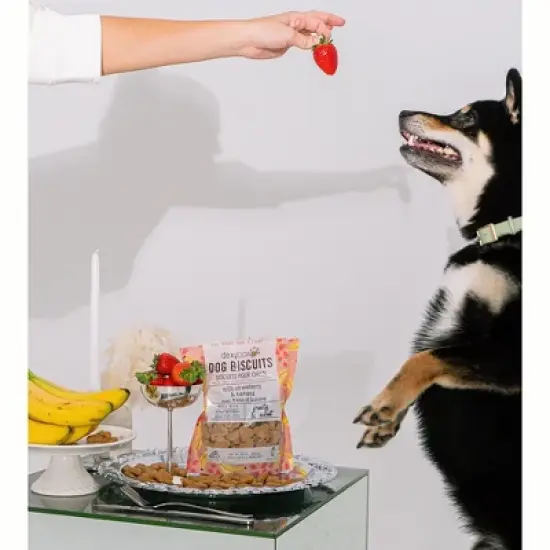 Dexypaws Strawberry, Banana & Coconut Dog Biscuits 12oz - Natural Pet Treats image {2}