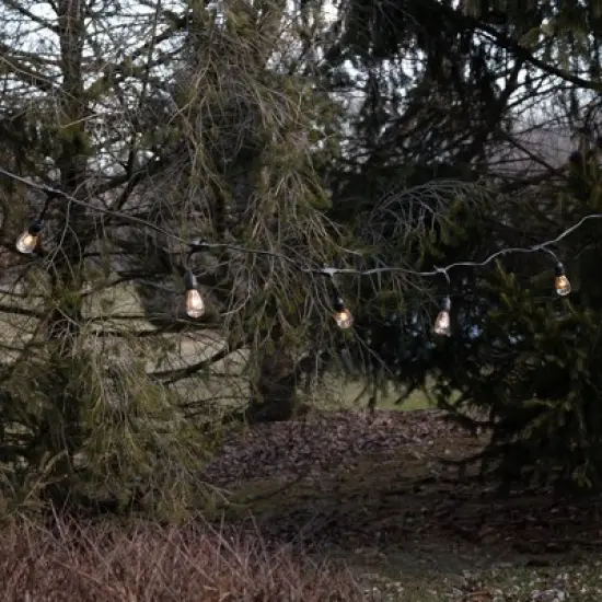 LumaBase Electric Commercial-Grade String Lights with 12 Edison Bulbs image {7}