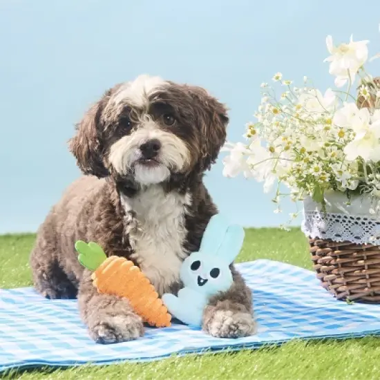 BARK Easter Harriet and Carrot Dog Animal Plush Toy - 2pc image {2}