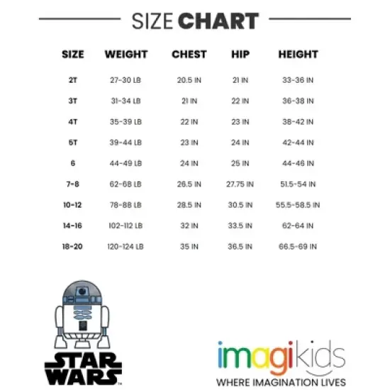 Star Wars 2 Pack T-Shirts Little Kid to Big Kid image {6}