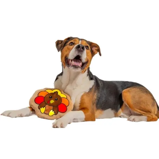 Midlee Turkey Thanksgiving Sugar Cookie Dog Toy image {1}