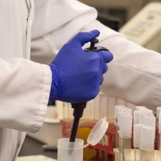 AMMEX Professional Indigo Nitrile Exam Gloves - Light Duty, Medical Grade - Great for Medical, Dental, Veterinary, Tattoo, and Household and Cleaning image {3}