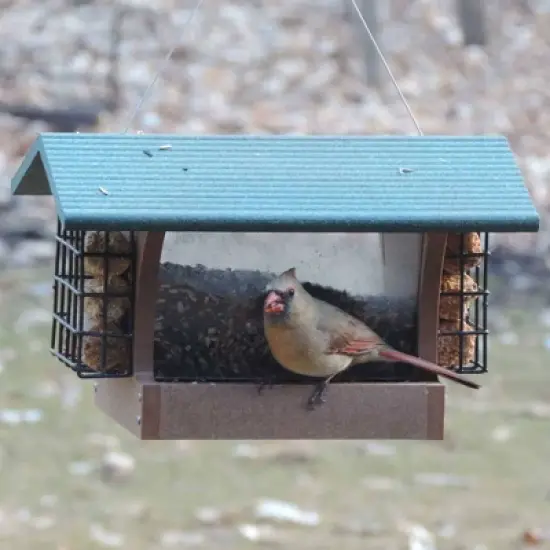 Birds Choice Medium Hopper & Suet Cages Novelty Bird Feeder 10" Taupe & Green: Recycled Plastic, Weather-UV Resistant image {6}