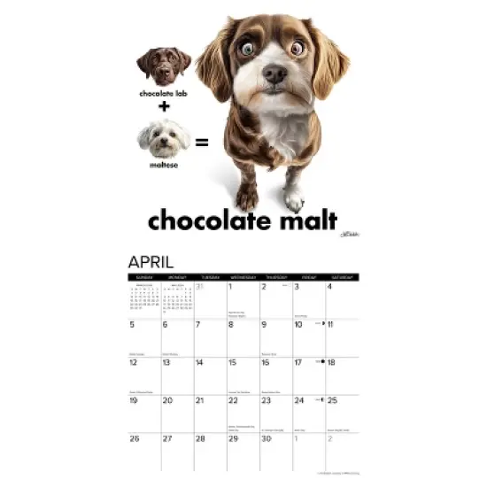 Willow Creek Press 2026 Mutt Mashups Wall Calendar image {2}