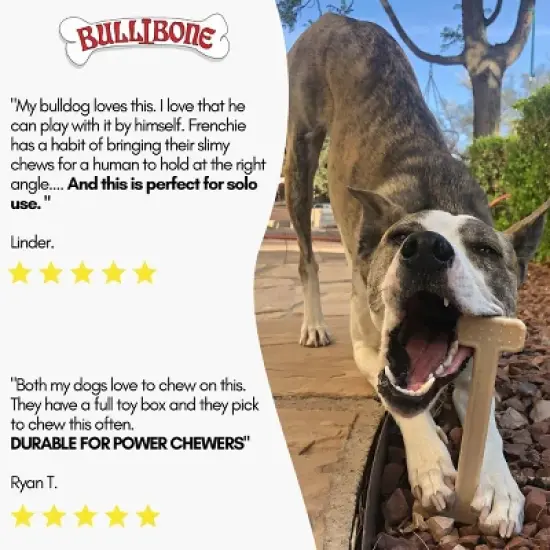 Bullibone Chew Toy for Small Dogs image {5}
