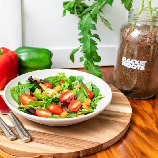 Back to the Roots Organic Tomato Grow Kit image {4}