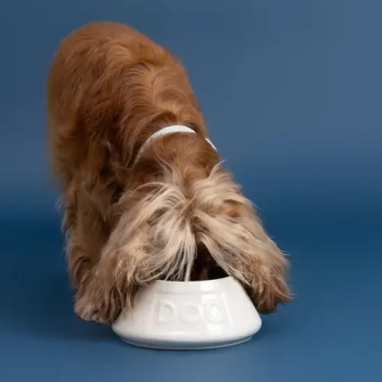 Mason Cash: Non-Tip Dog Bowl, Grey, 8.3", 54oz, Food & Water Angled Dish image {5}