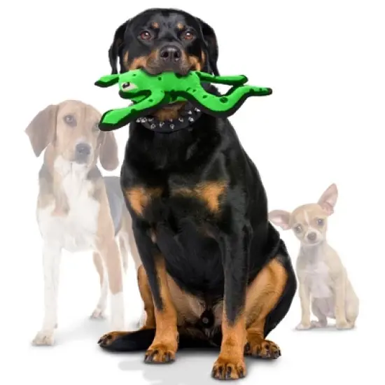 Tuffy Phrog Leap Dog Toy - Green image {1}