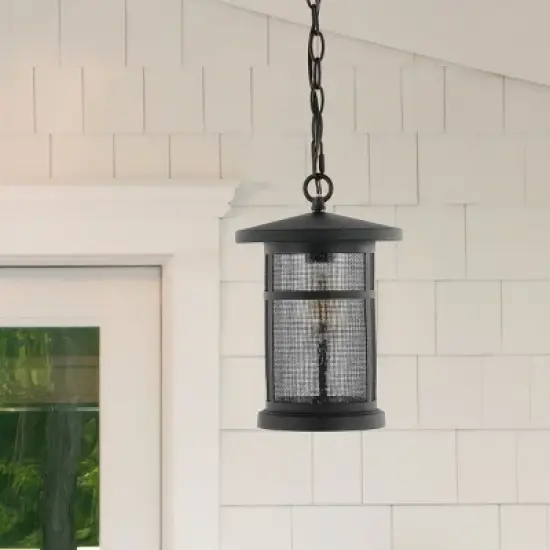 Osprey 8" Outdoor Pendant - PLT4030 - Black - Safavieh image {2}