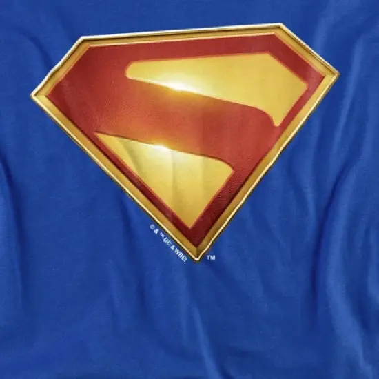 Toddler Boy's Superman 2025 New Logo Color T Shirt image {1}