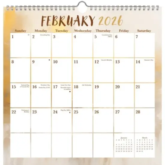 Trends International 2026 Abstract Pastel Spiral 12"x12.25" Wall Calendar image {2}