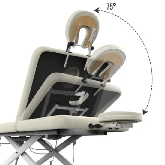 Dolonm Commercial Massage Table 31.5" Wide w/Storage & 700LBS Capacity - Fixed Backrest Salon Spa Bed image {2}