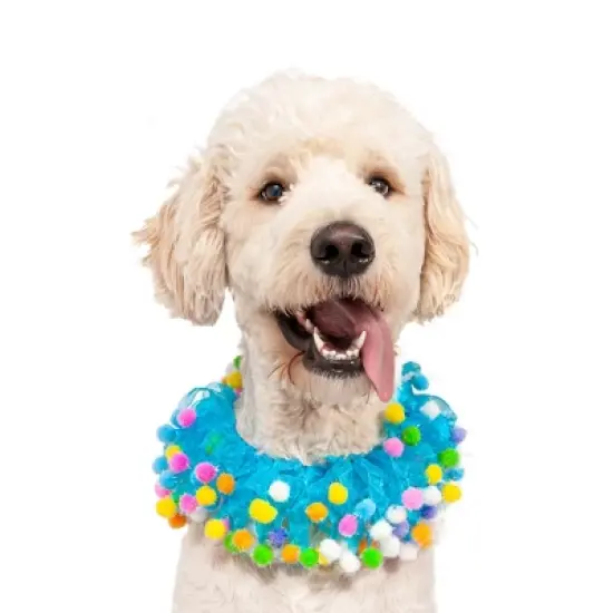 Midlee Blue Birthday Pom Pom Dog Collar image {7}